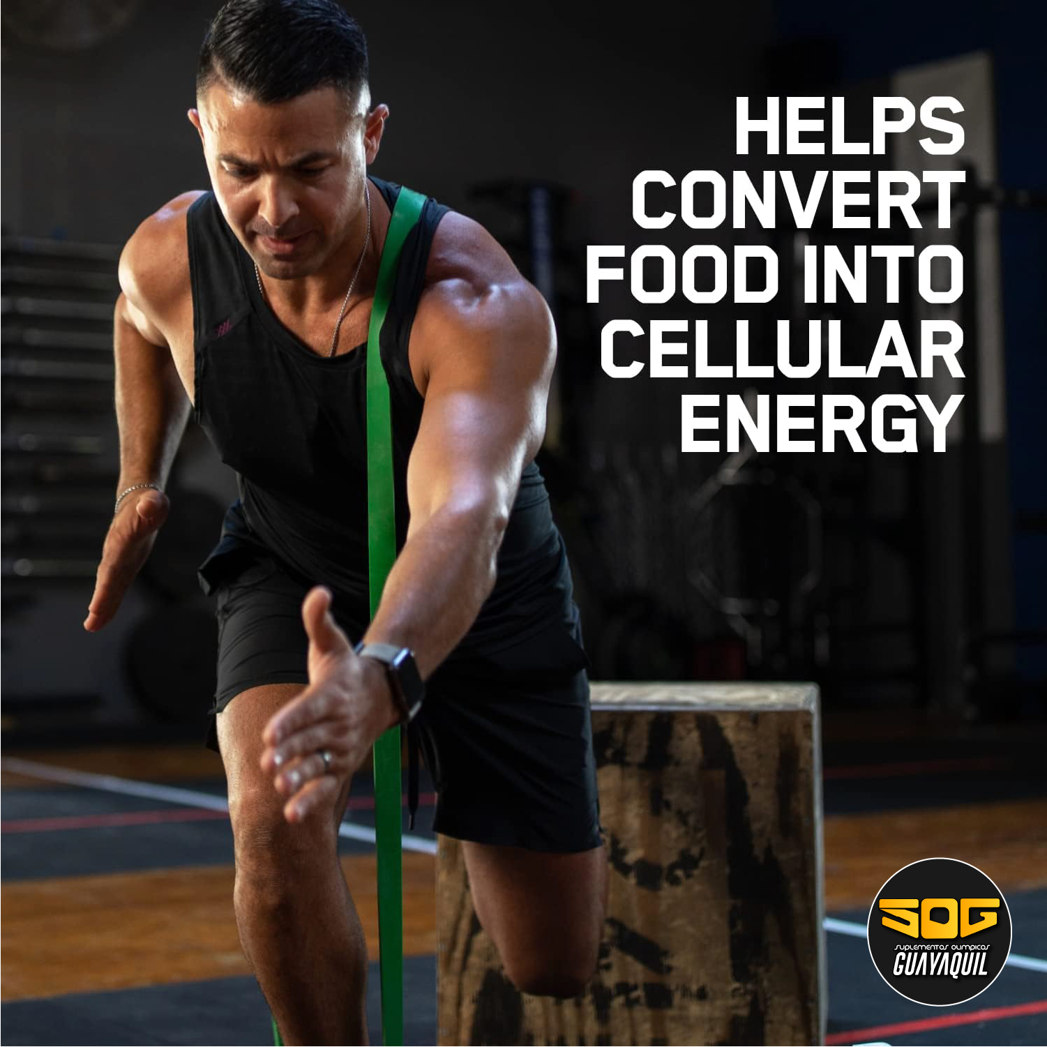 ZMA CAPSULAS OPTIMUM NUTRITION 90 CAPS - Imagen 11